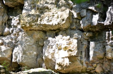 Wieluńskie „gruby” mogą stać się atrakcją geologiczną i bazą edukacyjną