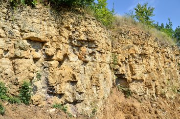 Wieluńskie „gruby” mogą stać się atrakcją geologiczną i bazą edukacyjną