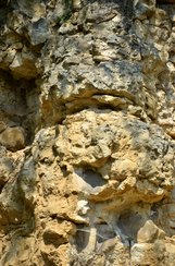 Wieluńskie „gruby” mogą stać się atrakcją geologiczną i bazą edukacyjną