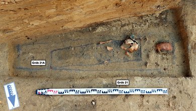 Podczas rozbudowy drogi wojewódzkiej w Działoszynie archeolodzy natrafili na cmentarz przykościelny sprzed 300 lat