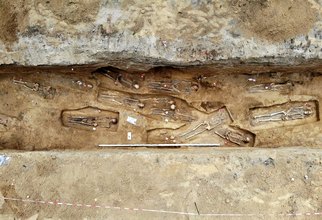 Podczas rozbudowy drogi wojewódzkiej w Działoszynie archeolodzy natrafili na cmentarz przykościelny sprzed 300 lat