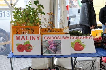 Rynek Marszałkowski i Wojewódzki w Łodzi zapraszają w każdą sobotę