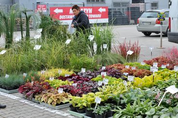 Rynek Marszałkowski i Wojewódzki w Łodzi zapraszają w każdą sobotę