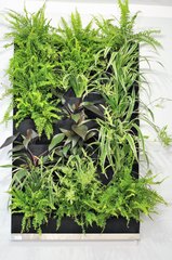 „Mikroświat” – nowa pracownia w Zespole Szkół nr 1 w Wieluniu