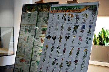 „Mikroświat” – nowa pracownia w Zespole Szkół nr 1 w Wieluniu