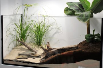 „Mikroświat” – nowa pracownia w Zespole Szkół nr 1 w Wieluniu