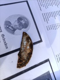 Wieruszów: dzięki pracy w archiwach odnaleziono mogiły niemieckich żołnierzy