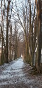 Lututów coraz ładniejszy. Z unijnych pieniędzy zrewitalizowano Mały Park i rynek