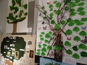 „Rozstrzygnięto konkurs Moje drzewo genealogiczne