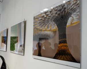 Feeria barw i mnogość kształtów na nowej wystawie w Muzeum w Praszce