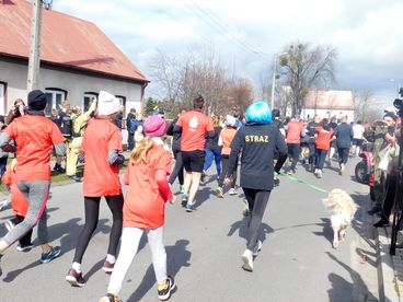 Ponad 200 osób wystartowało na 5 km w Dąbrowie