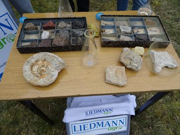 Warsztaty geologiczne w Kamieniołomie Kowalskiego w Wieluniu
