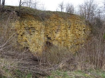 Warsztaty geologiczne w Kamieniołomie Kowalskiego w Wieluniu