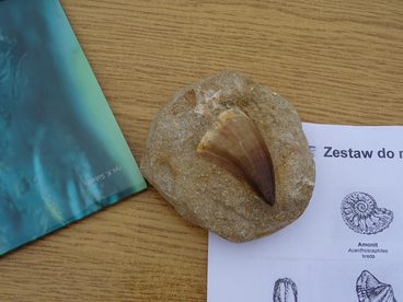 Warsztaty geologiczne w Kamieniołomie Kowalskiego w Wieluniu