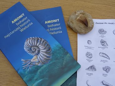 Warsztaty geologiczne w Kamieniołomie Kowalskiego w Wieluniu