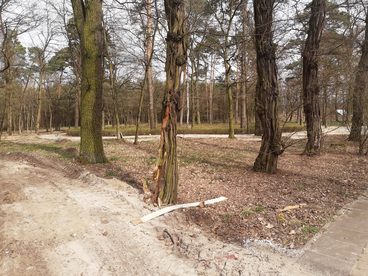 Gmina Galewice: trwają prace w parku i przy zabytkowym dworku