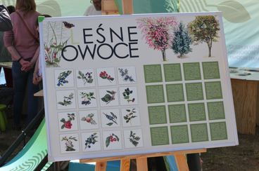 Piknik Województwa Łódzkiego Rozpoczęcie Lata – Letnia Scena Disco w Ostrwie Warckim za nami – mnóstwo atrakcji i sportowych emocji