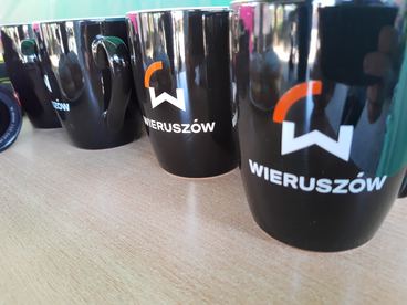 Naukowy Dzień Dziecka w Wieruszowie – wspólna impreza liceum i WDK-u
