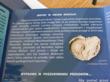 W I LO odbył się konkurs o Jurze Polskiej. Był zwieńczeniem projektu 