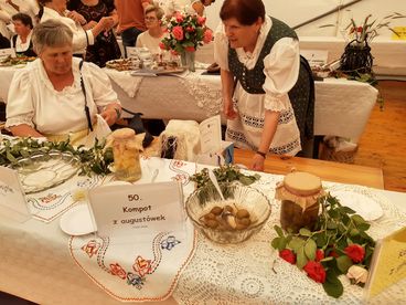 Za nami Święto Województwa Opolskiego na terenie Zamku w Mosznej