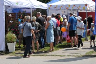 705-lecie podpisania Supliki Sulejowskiej – piknik Urzędu Marszałkowskiego Województwa Łódzkiego w Sulejowie