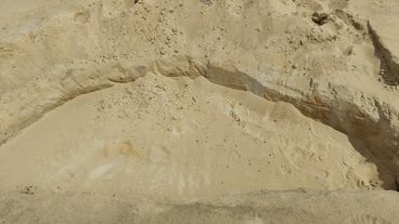 Archeolodzy znów badają w okolicach Wielunia