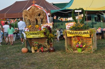 Dożynki gminy Czarnożyły odbyły się w Raczynie