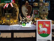 Dożynki wojewódzkie w Paradyżu przyciągnęły tłumy odwiedzających. Były m.in. stoiska KGW, koncerty i wybór najpiękniejszego wieńca
