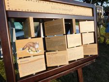 Dożynki wojewódzkie w Paradyżu przyciągnęły tłumy odwiedzających. Były m.in. stoiska KGW, koncerty i wybór najpiękniejszego wieńca