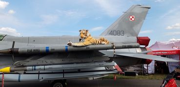 Setki tysięcy ludzi na Międzynarodowych Pokazach Lotniczych Air Show w Radomiu