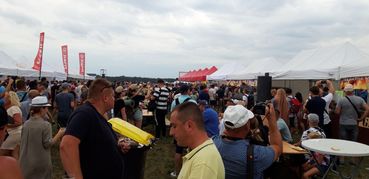 Setki tysięcy ludzi na Międzynarodowych Pokazach Lotniczych Air Show w Radomiu