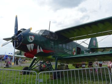 Setki tysięcy ludzi na Międzynarodowych Pokazach Lotniczych Air Show w Radomiu