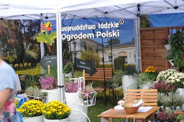 Ogromne zainteresowanie Świętem Chrzanu w Osjakowie