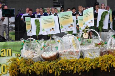 Ogromne zainteresowanie Świętem Chrzanu w Osjakowie