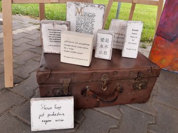 Wieluński Festiwal Aktywności Społecznej