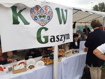 Wieluński Festiwal Aktywności Społecznej