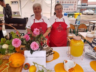 Wieluński Festiwal Aktywności Społecznej
