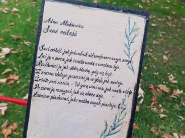 Za nami Noc Bibliotek w Wieluniu - „Strefa poezji” oficjalnie otwarta