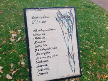 Za nami Noc Bibliotek w Wieluniu - „Strefa poezji” oficjalnie otwarta