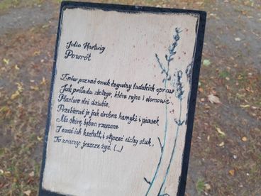 Za nami Noc Bibliotek w Wieluniu - „Strefa poezji” oficjalnie otwarta