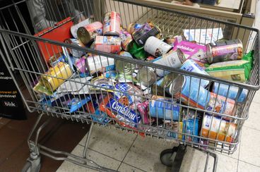 W weekend Fundacja obrony zwierząt Łezka przeprowadziła akcję z myślą o kotach