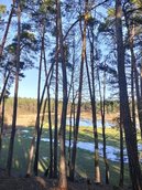 Rzeka Miodu w Kałużach