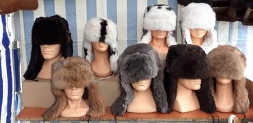 Ponad tysiąc królików pokazano na 19. Ogólnopolskiej Wystawie Królików Rasowych, Drobiu Ozdobnego i Gołębi w Wieluniu