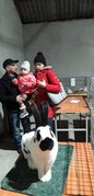 Ponad tysiąc królików pokazano na 19. Ogólnopolskiej Wystawie Królików Rasowych, Drobiu Ozdobnego i Gołębi w Wieluniu