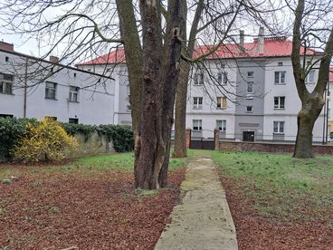 Wieluń: odkrywane są kolejne tajemnice dawnego klasztoru