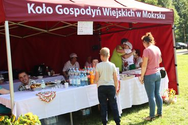 W Parku Wiejskim zorganizowano festyn „Bezpieczne wakacje w Mokrsku”