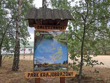 Harcerska akcja letnia w Załęczu Piątego Szczepu Harcerskiego „Piątka” w Wieluniu