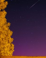 Za nami apogeum deszczu Perseidów i zjawisko zorzy polarnej