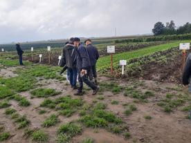 Za nami targi ”Jesień w polu i ogrodzie – Kościerzyński Dzień Ziemniaka”