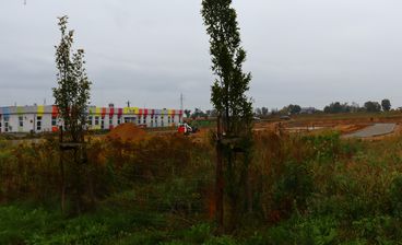 Wieluń: radni pytali na sesji o realizację trzech inwestycji przez spółkę Kafero 